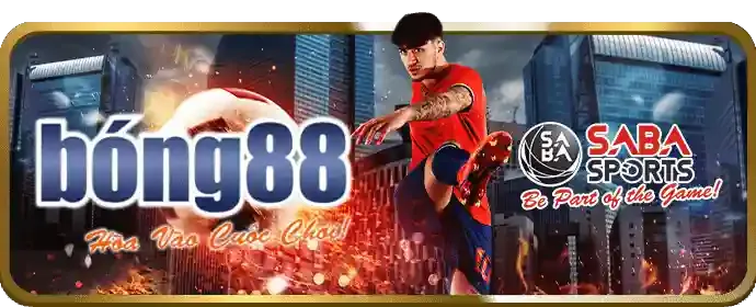 Minh họa các loại cookie khác nhau được sử dụng bởi FSbet
